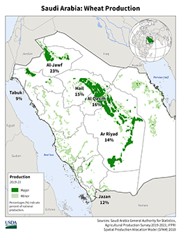 images\SA\cropprod\SaudiArabia_Wheat_preview.png